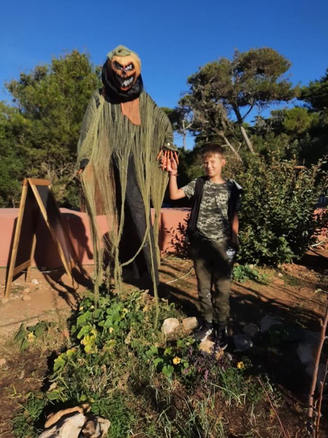 Homestay Dos Teixos